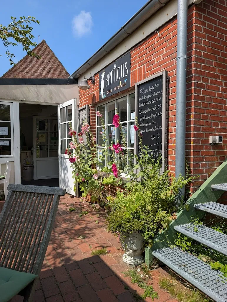 Melanie Tschepat_Anticus Café & Teestube Annette Kallweit_Pellworm_review