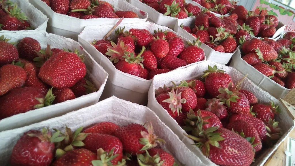 Menu_Obsthof Stubbe_Rieseby_image_7