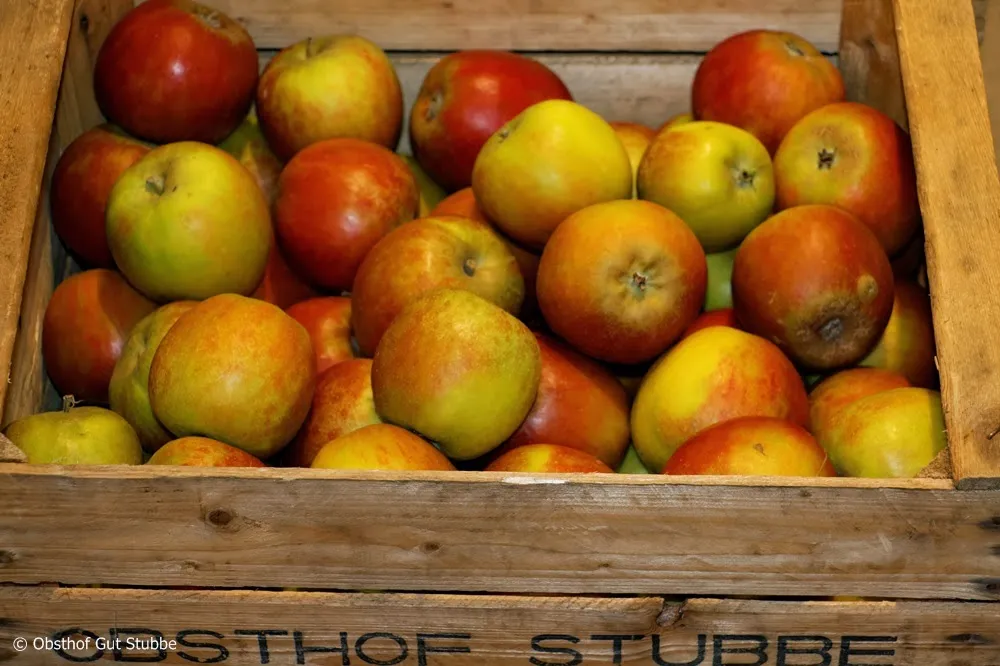 Obsthof Stubbe_Rieseby_slider_image_3