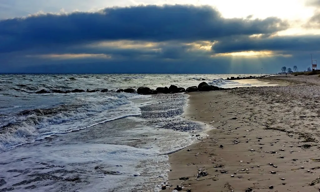 Berry_Brodauer Eiche_Schashagen_review