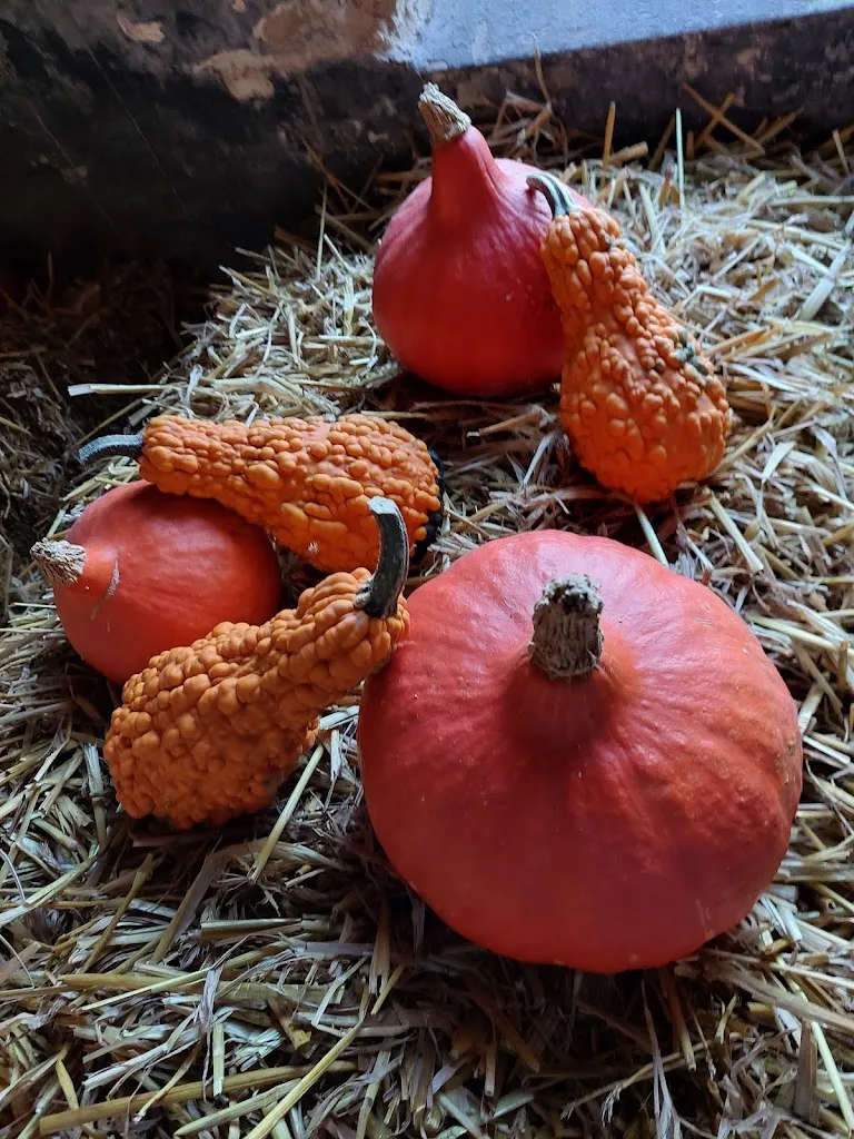 Menu_Obstcafe und Erlebnishof Jensen_Sörup_image_7