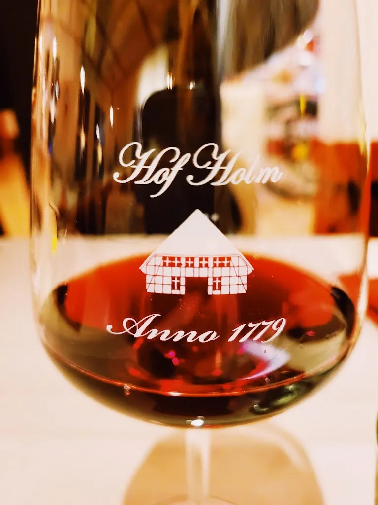 Britta Y. Stricker_Hof Holm_Schönberg_review