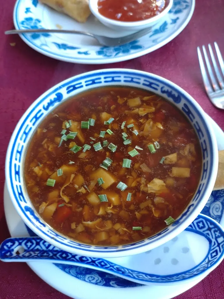 Menu_Asia-Restaurant Orchidee_Schönberg_immagine_6