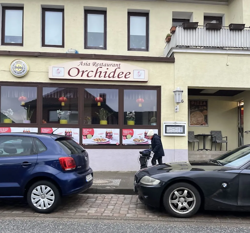 Asia-Restaurant Orchidee restaurant in Schönberg
