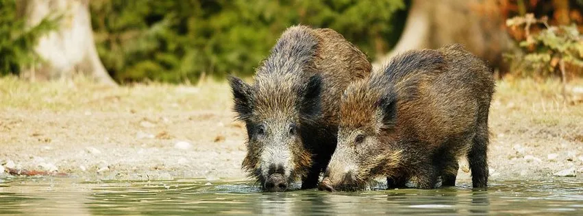 ErlebnisWald Trappenkamp_Daldorf_slider_image_1