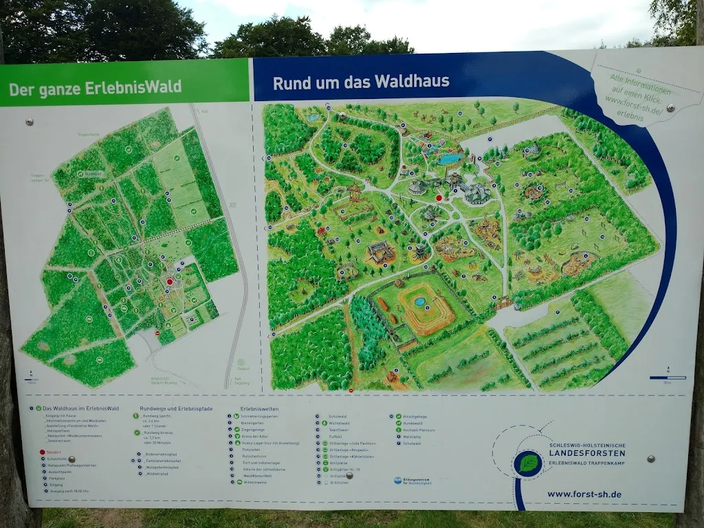 ErlebnisWald Trappenkamp_Daldorf_slider_image_3