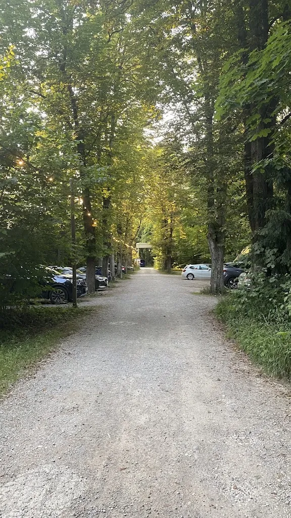 De Wet Kruger_Gitti´s WALDWIRTSCHAFT Haar_Haar_review