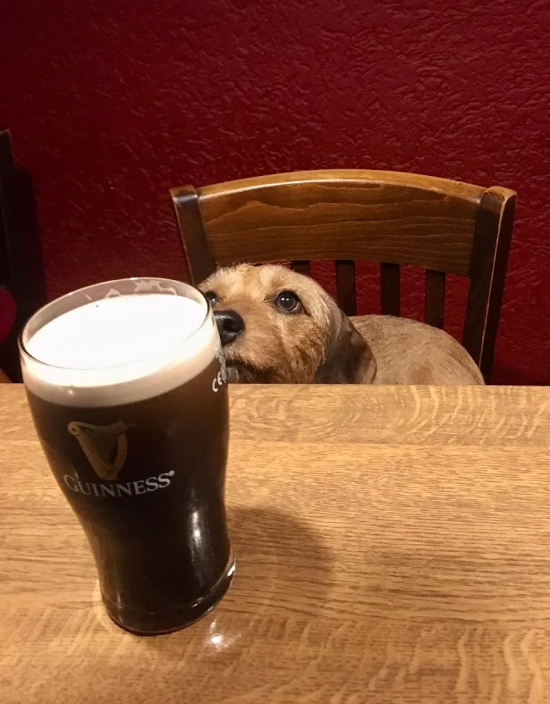 Menu_Country Roads Pub & Bar_Tönning_image_4