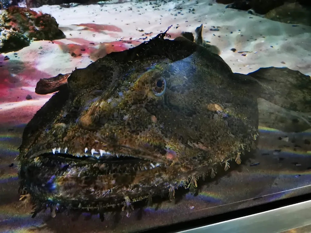 Menu_Restaurant Multimar_Tönning_image_5