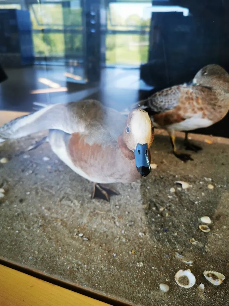 Menu_Restaurant Multimar_Tönning_image_7