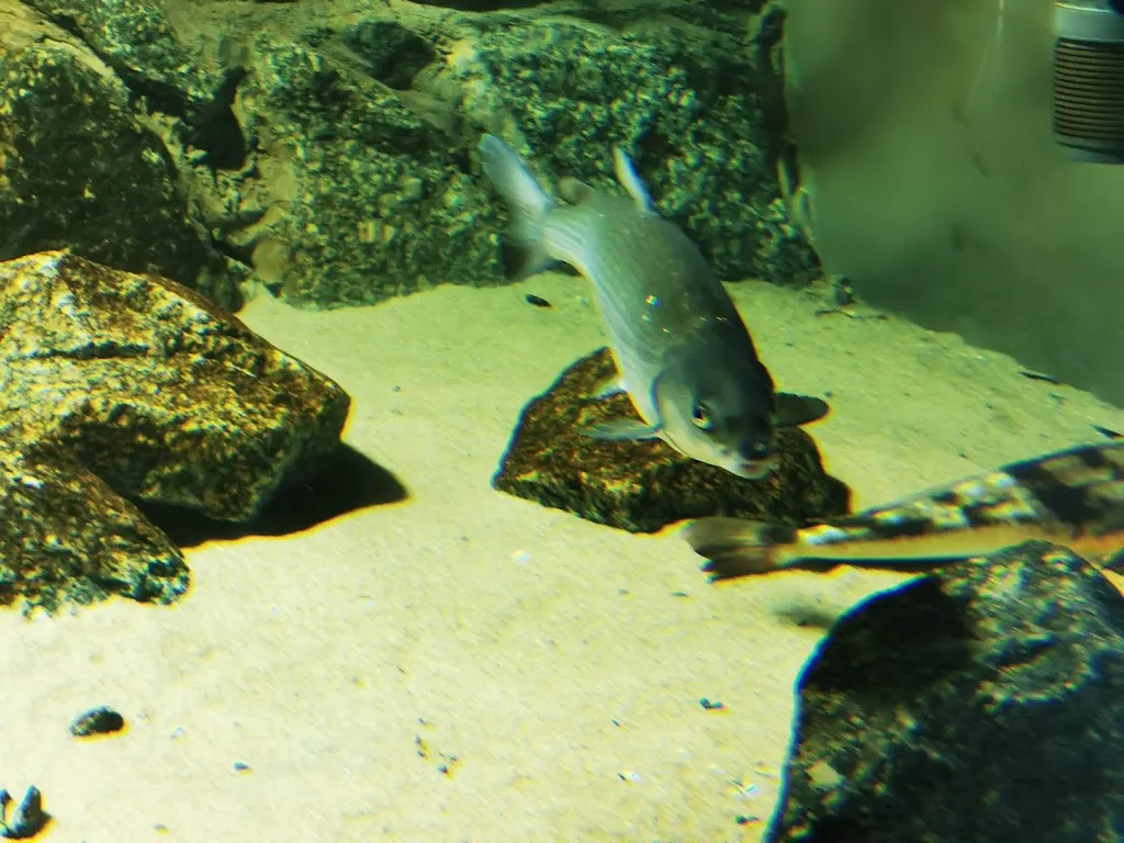 Restaurant Multimar_Tönning_slider_image_3