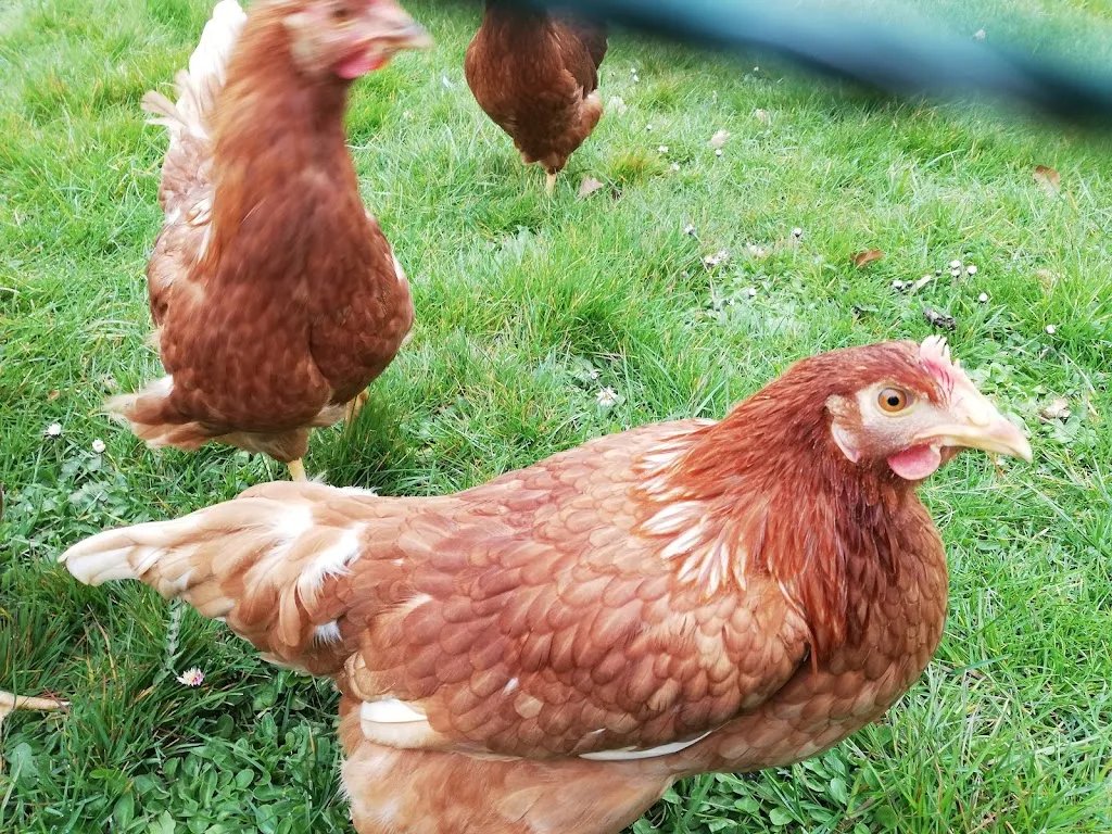 Hof Heller_Wendtorf_slider_image_2