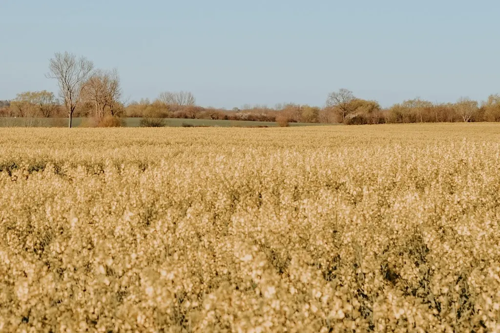 Hof Heller_Wendtorf_slider_image_3