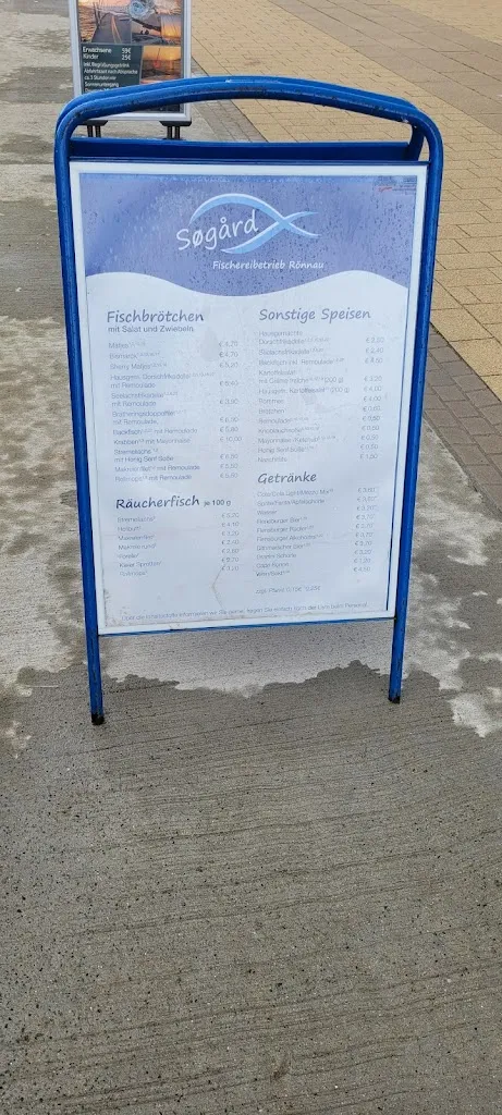 Bodo Smets_Fish from a boat_Wendtorf_review