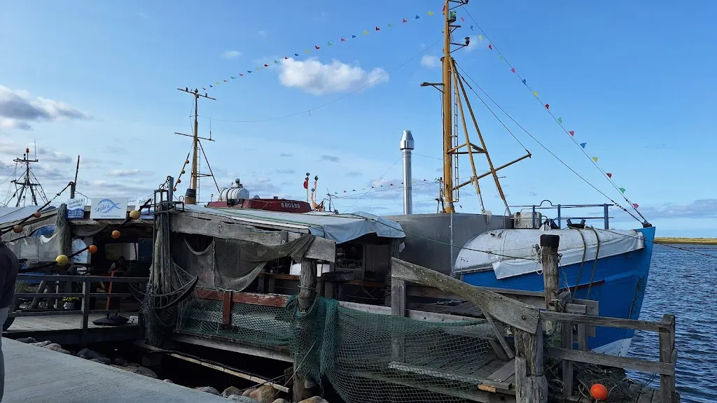 Fish from a boat_Wendtorf_slider_image_2