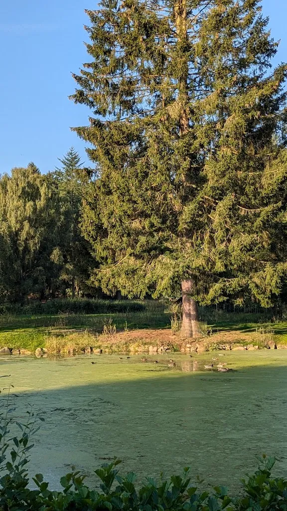 Tatyana Tarasova_Forsthaus Seebergen Hotel Lütjensee_Lütjensee_review