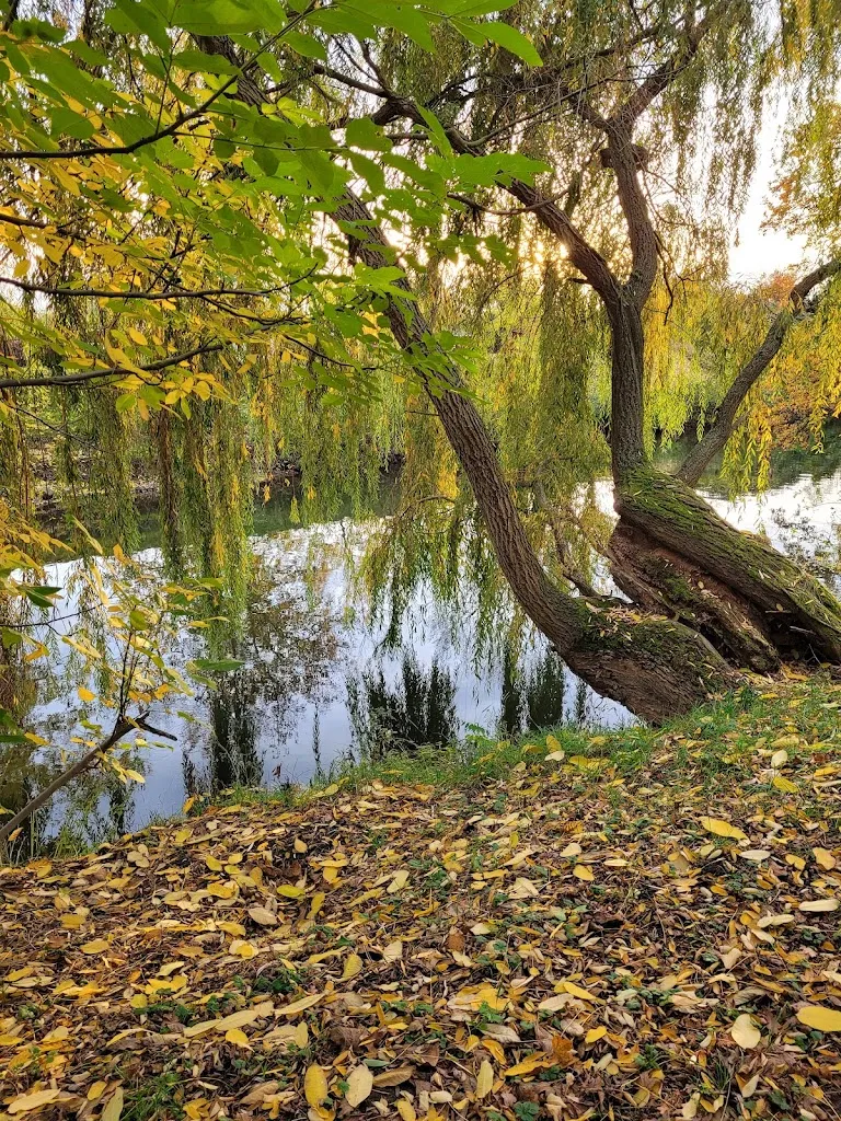 Gaststätte Saline - Klaus Blobel_Artern_slider_image_3