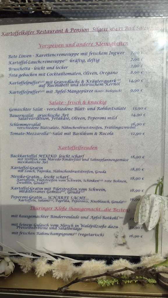 Menu_Kartoffelkäfer_Salzungen_image_4