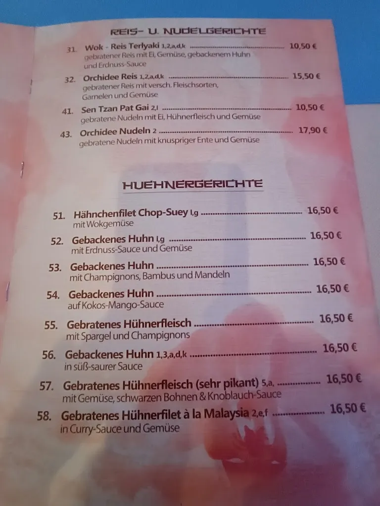 Menu_Asia Restaurant Orchidee_Frankenhausen/Kyffhäuser_image_1