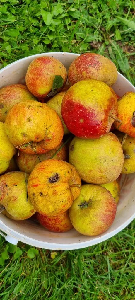 Menu_Kirschcafé Tilleda_(Kyffhäuser)_image_9