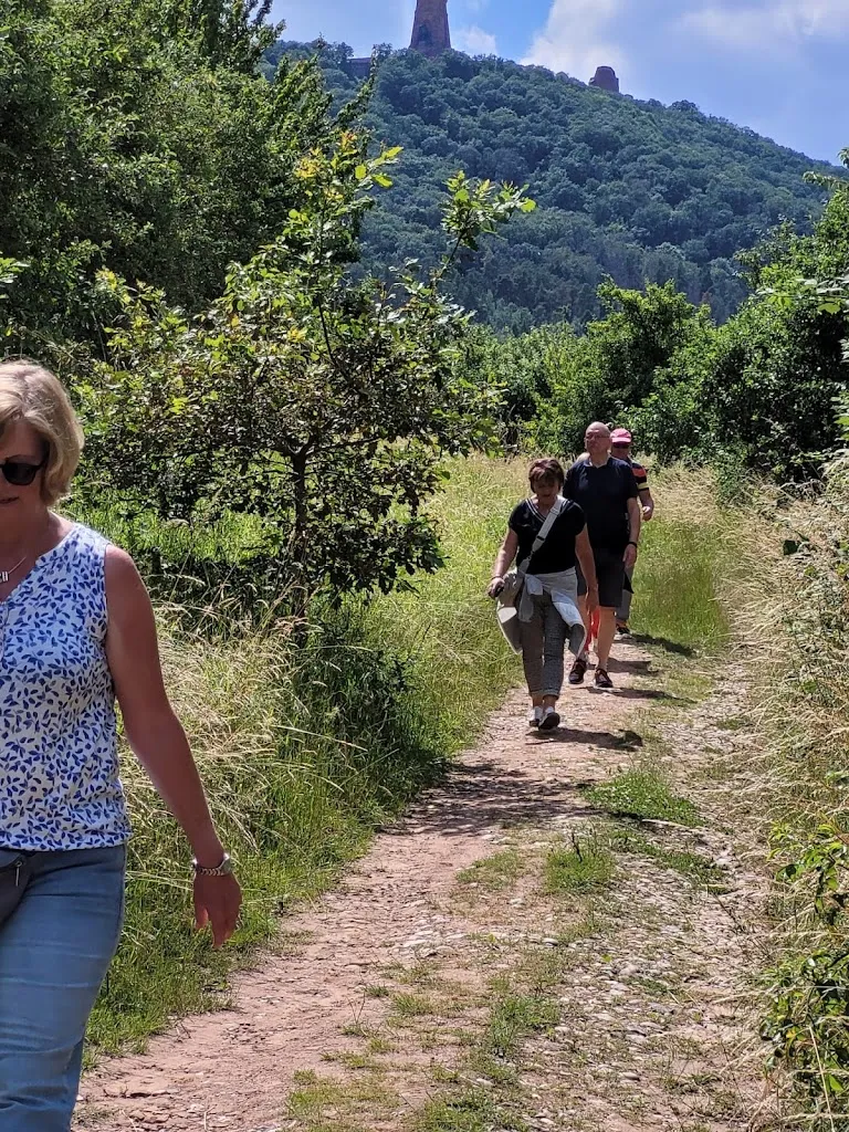 Andreas Bollweg_Kirschcafé Tilleda_(Kyffhäuser)_Bewertung