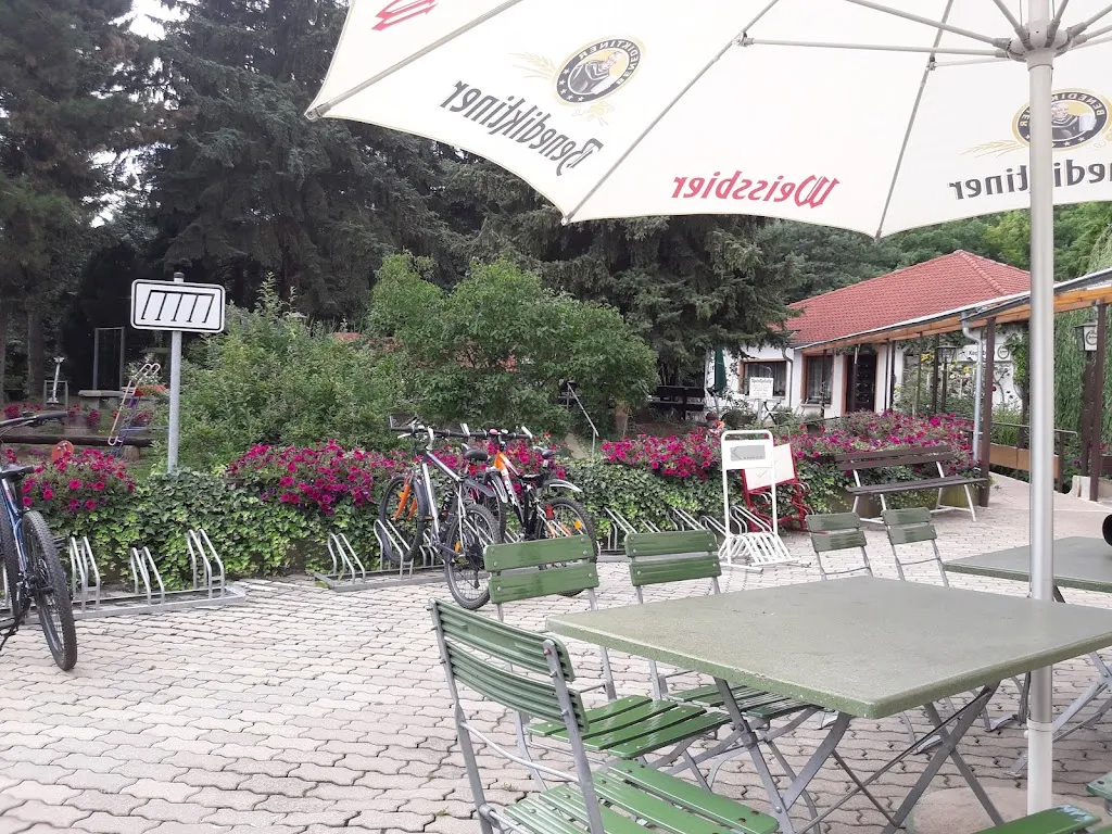 Gasthaus & Pension Collis restaurant in Gera