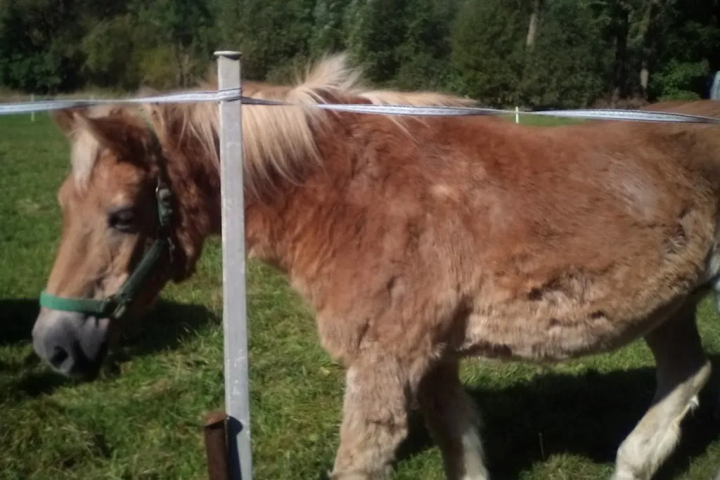 Gaststätte Zum Fröhlichen Schmidt_Eisfeld_slider_image_3