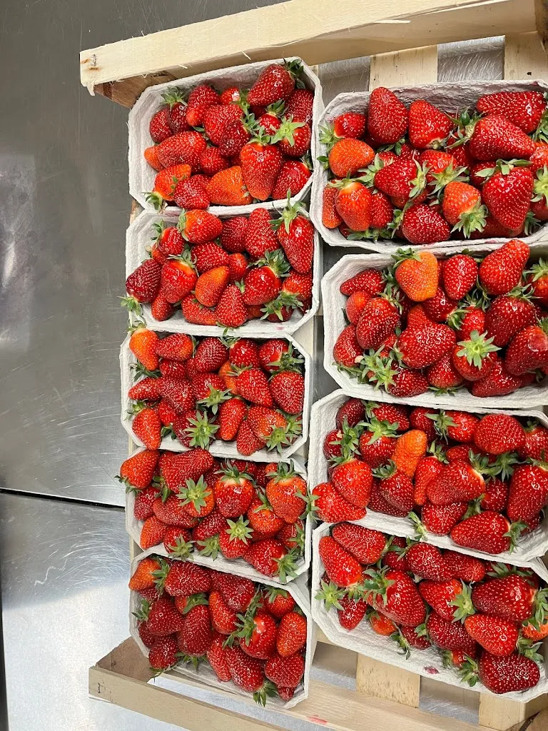 Menu_Gasthaus Pension Schwarzer Adler_Masserberg_image_5