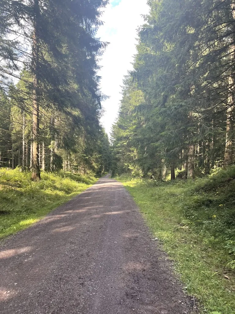 Mircelas_Gasthof Zum Reifberg_Ilmenau_review