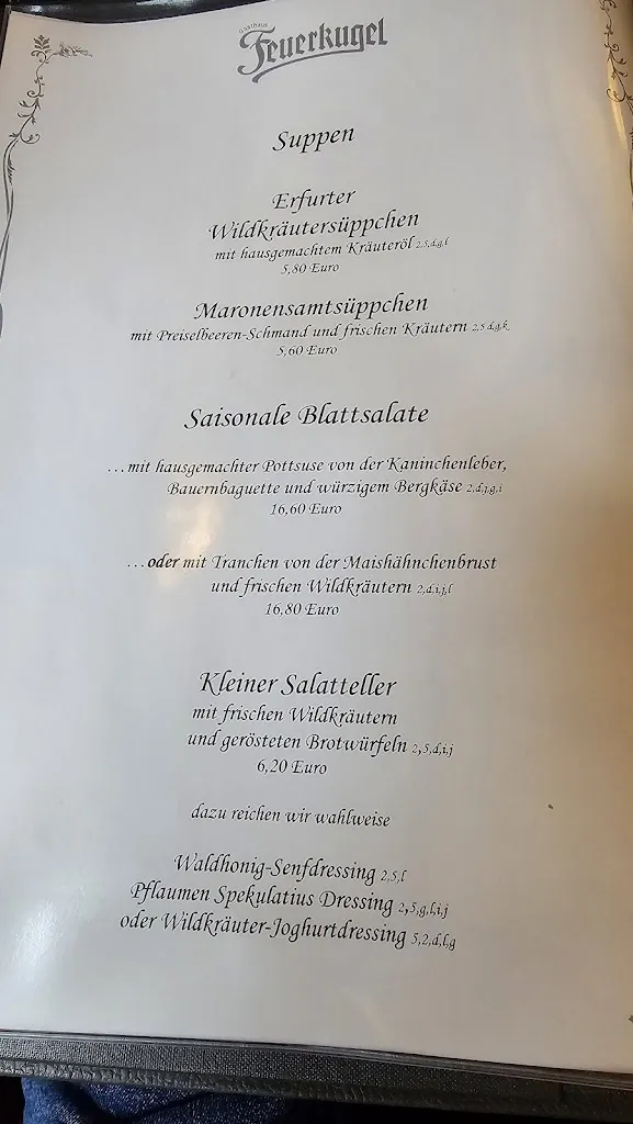 Menu_Gasthaus Feuerkugel_Erfurt_image_3