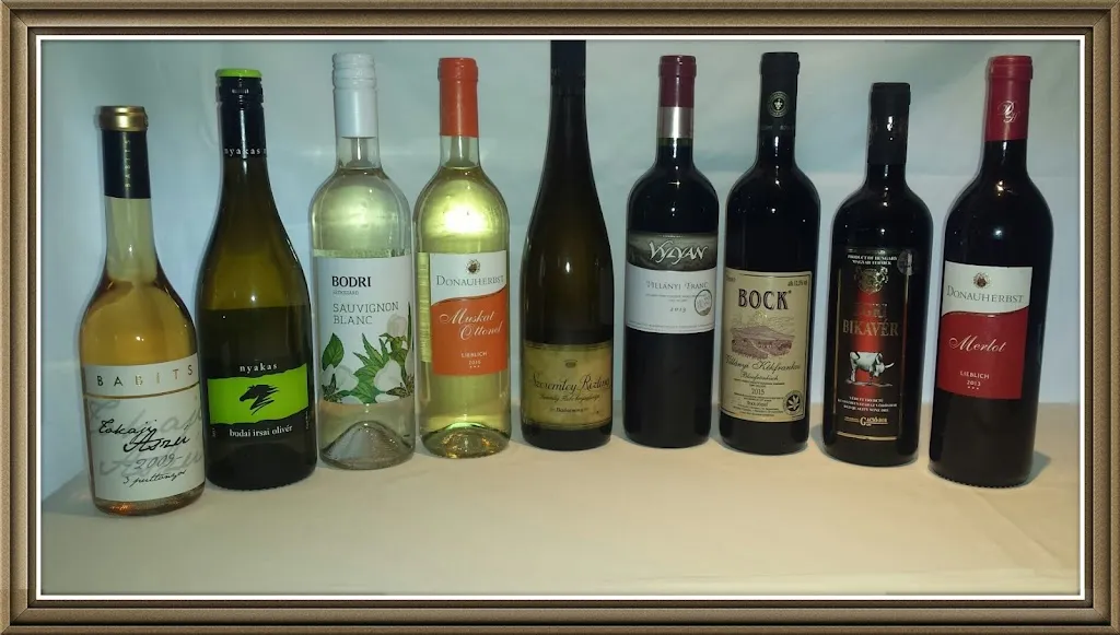 Menu_Hungarica Exzellent_Erfurt_image_9