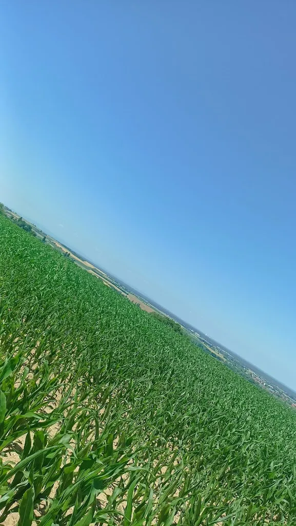 Ute Peterseim_Wirtshaus Waldesruh Wenigumstadt_Großostheim_review