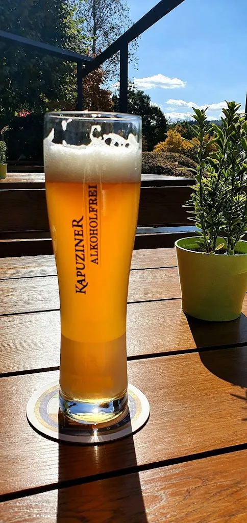 Menu_Restaurant Froschgrundsee_Rödental_immagine_7