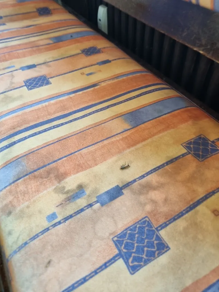 ScooterVonHootananny_Restaurant Blaue Adria_Großostheim_review