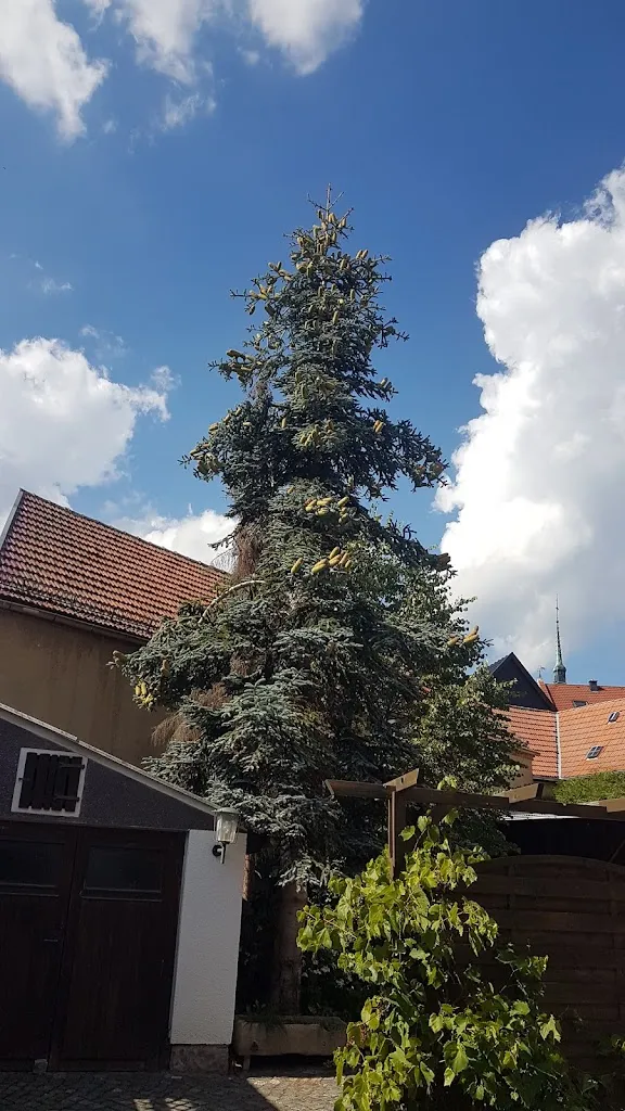 Gasthof Grüner Baum_Kraftsdorf_slider_image_2