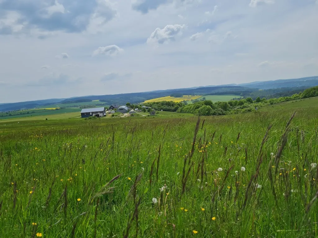 Pilotprojekt Café & Restaurant_Kühndorf_slider_image_3