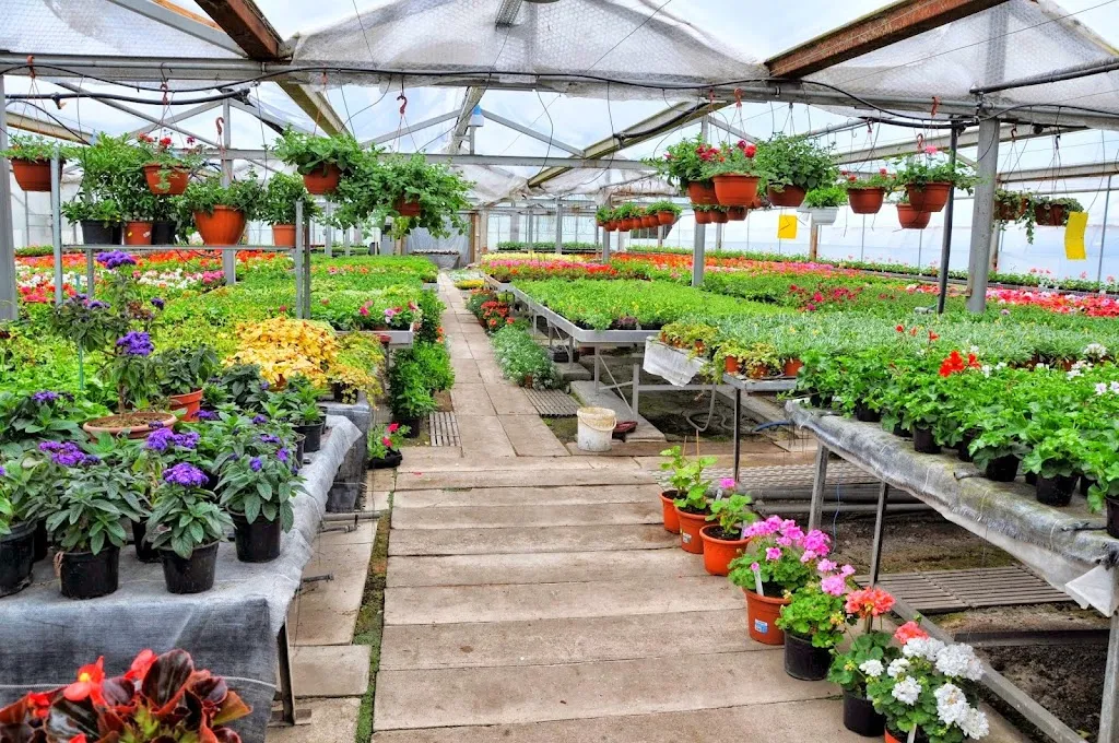 Gärtnerei Magdala restaurant in Magdala