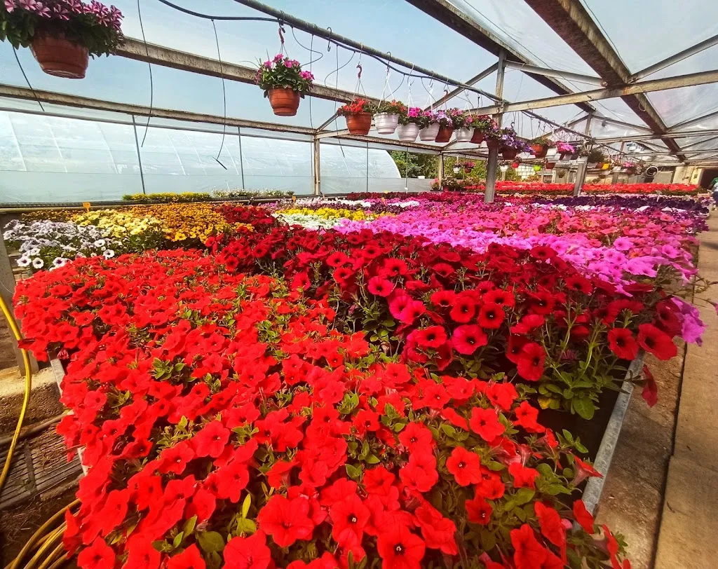 Gärtnerei Magdala_Magdala_slider_image_2