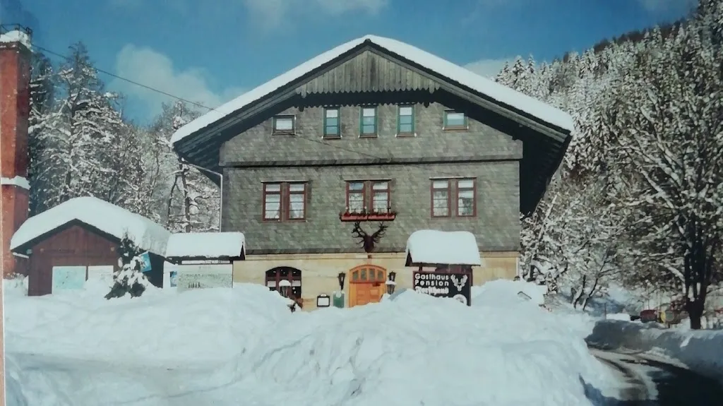 Gasthaus & Pension Forsthaus Augustenthal_Frankenblick_slider_image_3