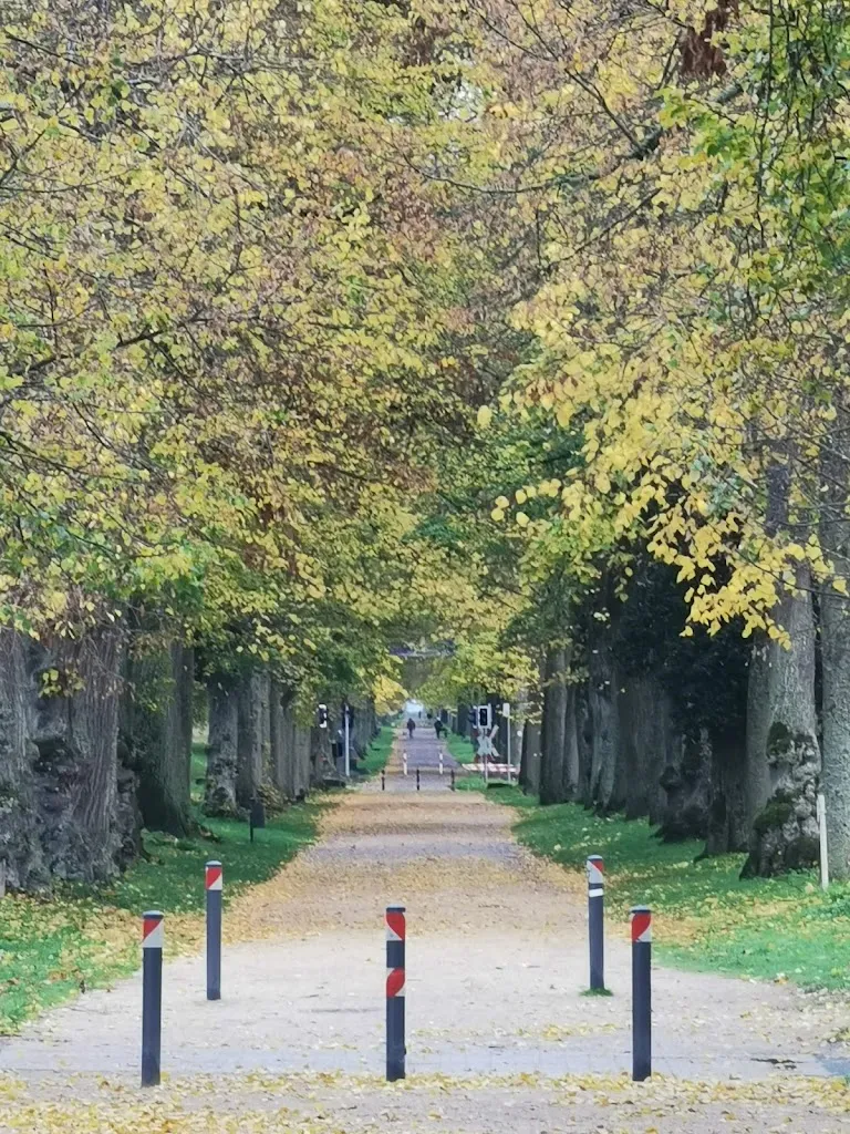 Robert Klings_KULINARISCHER SCHÖNBUSCH_Aschaffenburg_review