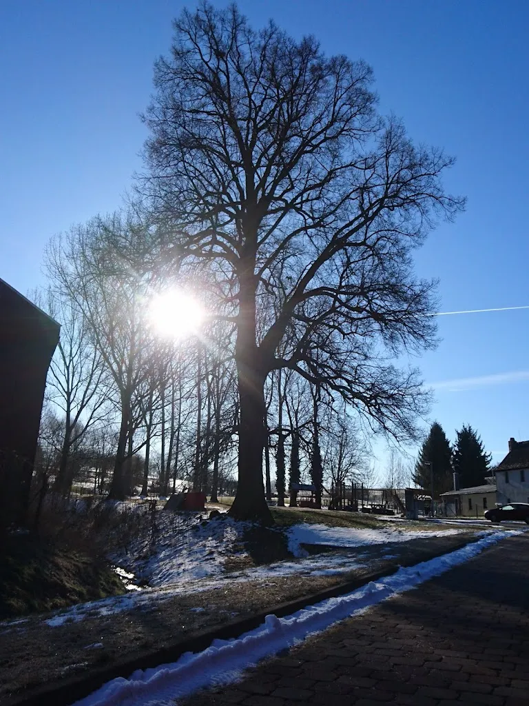 Landgasthof Lindenhof_Höhen_slider_image_2