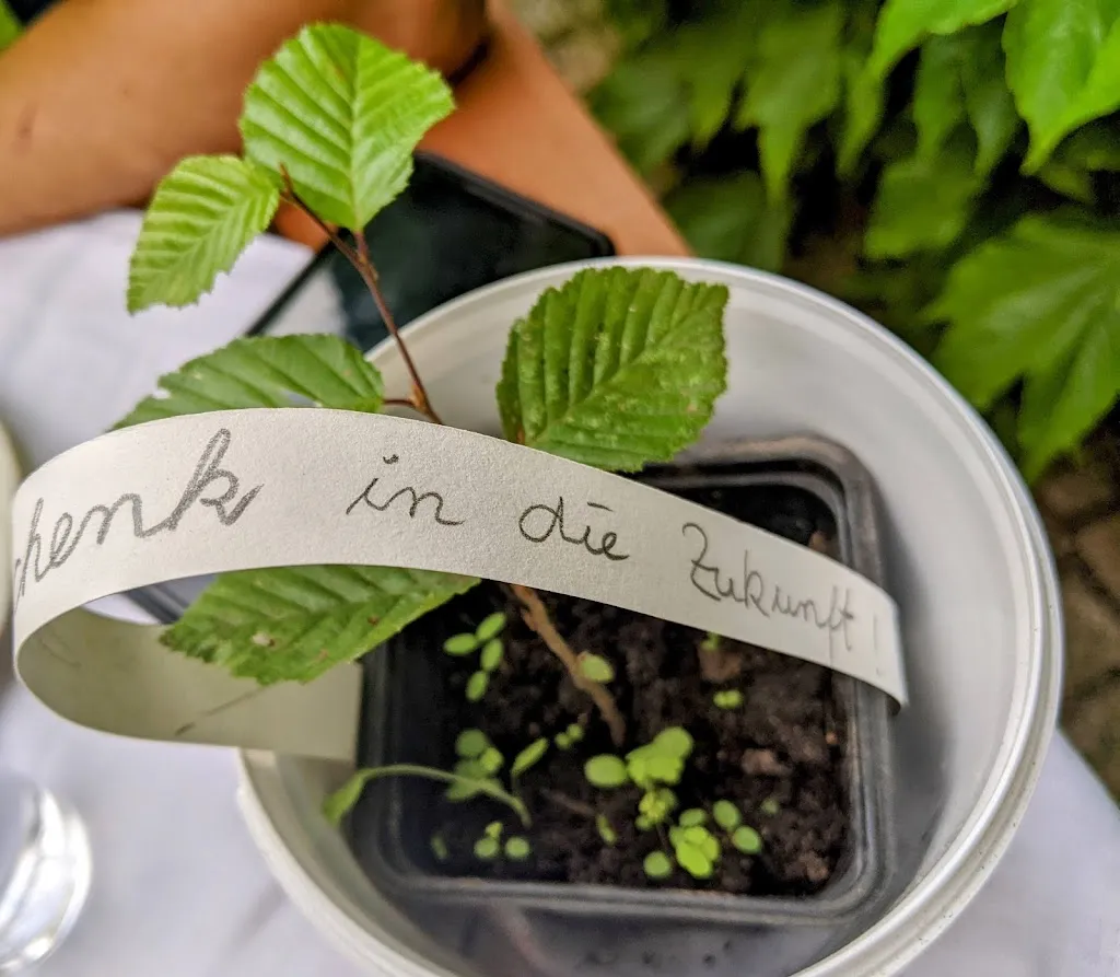 Menu_Maritas Art Cafè_Pappenheim_image_8