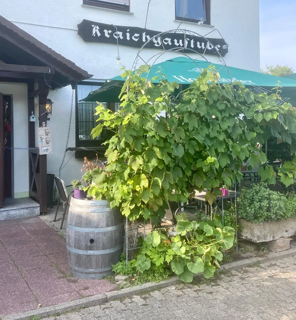 Manfred_Kraichgaustube_Mühlhausen_review