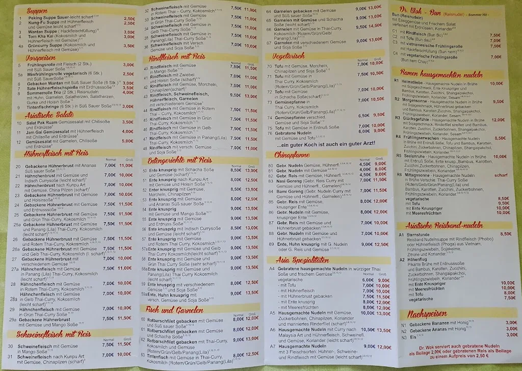 Menu_Dr.Wok Rudolstadt_Rudolstadt_image_1