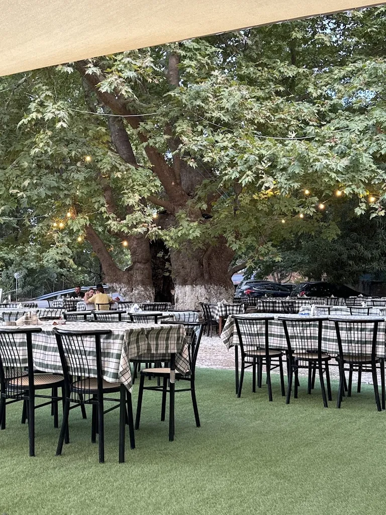 PLATIA - mediterrane restaurant in Günzburg