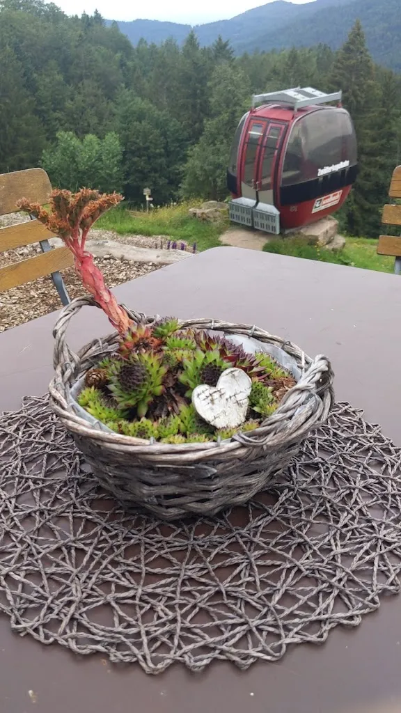 angelika Dehn_s‘ alte Lifthisli - Kernhof in Seebach_Seebach_Bewertung