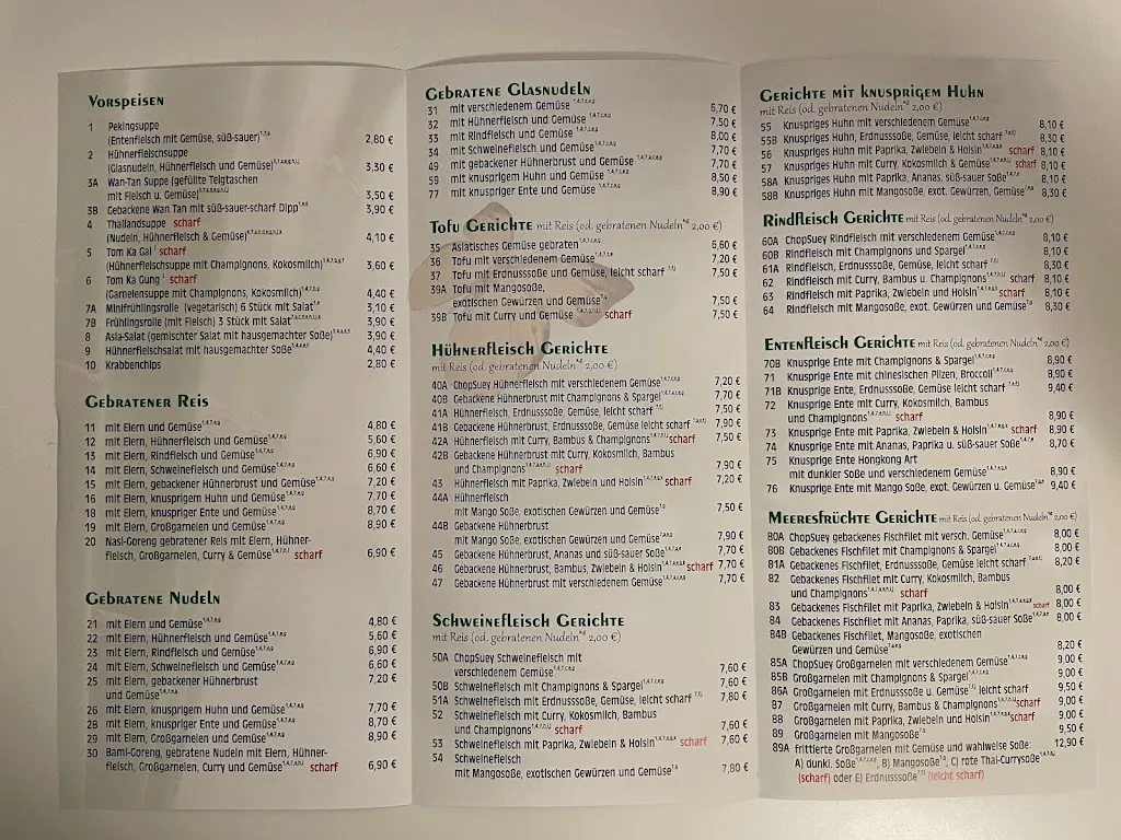 Menu_China-Thai-Wok_Schmalkalden_immagine_4