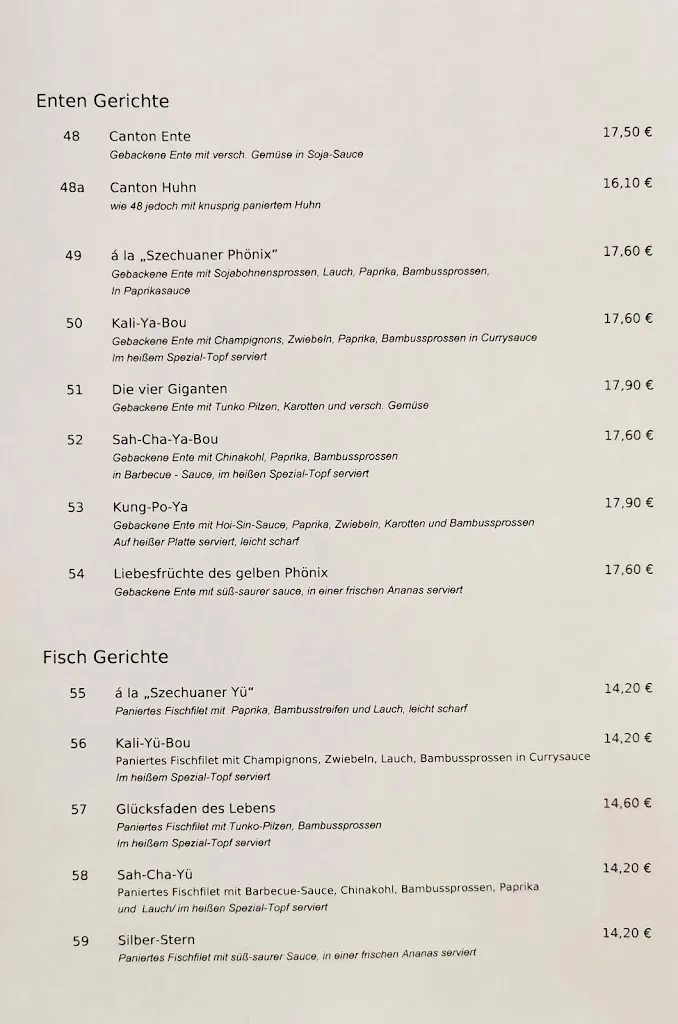 Menu_Yu Yi China Restaurant_Günzburg_immagine_1