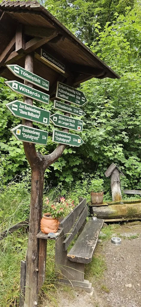 Duffy Duck_Grundmühle im Weißbachtal_Erfurt_Bewertung