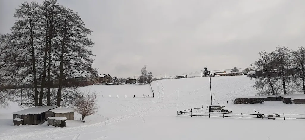 Gaststätte Grüner Baum_Zeulenroda-Triebes_slider_image_1